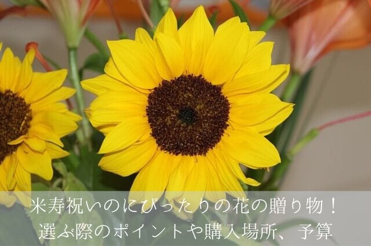 米寿祝いのにぴったりの花の贈り物！選ぶ際のポイントや購入場所、予算を解説！