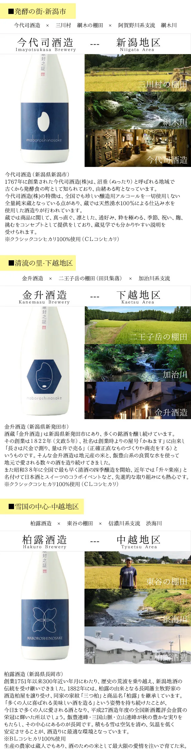 地区ごとの特徴